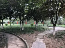 八公里轻轨站,出门生活配套齐全生活方便