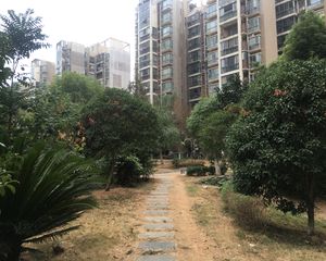 西街锦宸3+1房,视野采光好,拎包入住