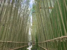 全新改造大两房 精装修 回老家急售 看中价格可以谈