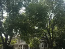 近地铁,精装 随时看房,无抵押 新上房源