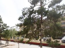 凡尔赛对 面 亚麻小区一楼 出门高新一 锦绣公园