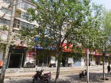 精装修 拎包入住 南北通透 双阳卧室