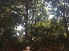 龙柏·紫藤居·2室·1厅