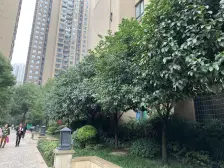 高新区 康德城市风云二房79.8万