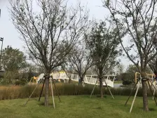 此房楼层好,五明户型,万科二期高层