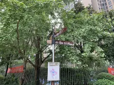 高新区 康德城市风云三房101万