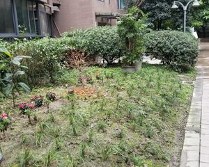 天晨花溪碧3室2厅东南