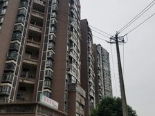 天晨花溪碧 2室1厅 西南