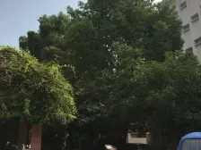 逸仙一村 1室1厅 南 北