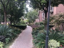 采光好 满五 精装,新上房源