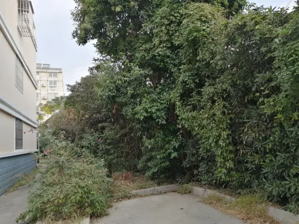 秋南新寓