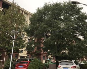 小街之春2室1厅南北