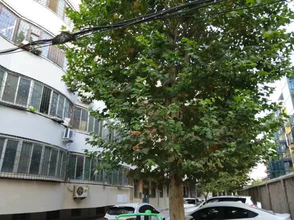 天桥区房管局宿舍