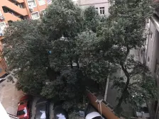 六角大楼 3室1厅 南 西南
