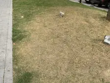 业主急售精装两房 满二 地铁口 采光好