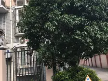 买一层带一层,沿河一梯一户,总高5楼复试房,精装修