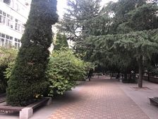 镇江路 低总价,好楼层,全明户型