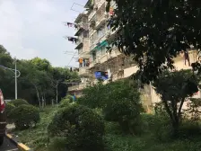 逸仙路1321弄 1室1厅 南