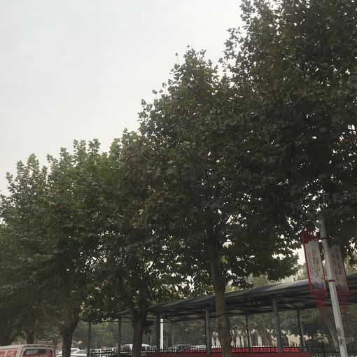 华城路北小区3室1厅1卫南朝向1200.00元/月出租