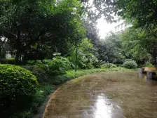 石桥铺 南方花园B区三房