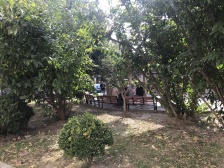 近地铁,精装,采光好,无抵押,新上房源