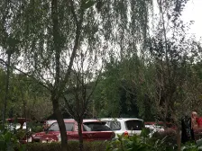 西永 西永石柱安置房二期C区二房52万