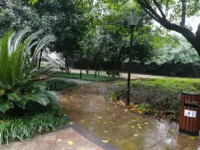 石桥广场旁 经典大平层带森林制标 近石桥广场永辉