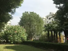 春晖小区 2室1厅 南