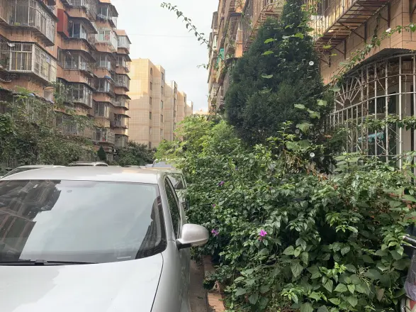 中成花园