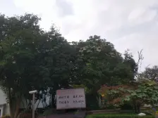 御溪内圈独栋 坐北朝南 3面临水 四季如春 钥匙品鉴