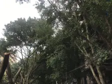 交农村 2室2厅 东南