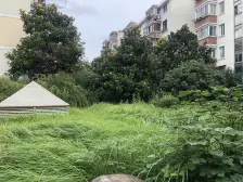 晋元南北通三房房型正气不靠马路近地铁