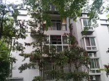 杨家坪 建工二村三房160万