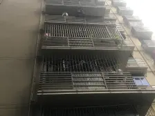 富家园小区 2室1厅 南