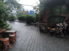 诚心出售 采光好 视野开阔 朝向好 安静