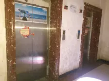 澄湖国际 2室1厅 南