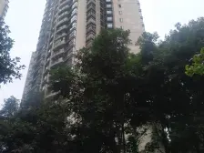 金荷花园 4室2厅 南