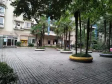 五朵金花旁红梅花儿开 朵朵放光彩 六年影响一生