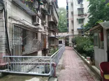 五朵金花 红梅花儿开朵朵放光彩 六年影响一生