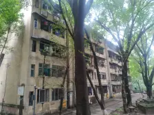 杨家坪 建工二村一房