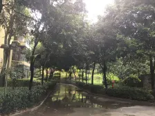 香榭里 逸静花开香地一房58万