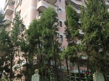 景园大厦观景农展馆,采光好,精装修,满五唯一
