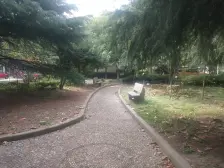 复式两层, 满5年 ,户型正 ,全明户型
