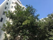 步梯1楼,精装修,拎包入住,总价低,物业费低。