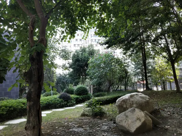 东苑小区F