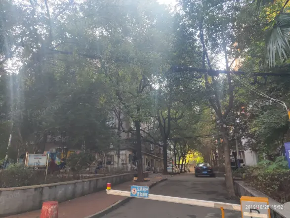 桂花二村