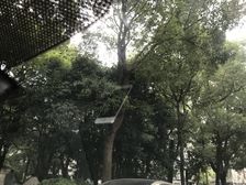 电梯房,中间楼层业主诚意,看房方便