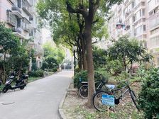 宝厦晶公馆3室2厅南