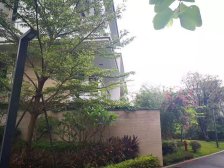 万科棠樾别墅.精装自住.大花园.