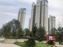 恒大帝景 3室 看房子随时可以看